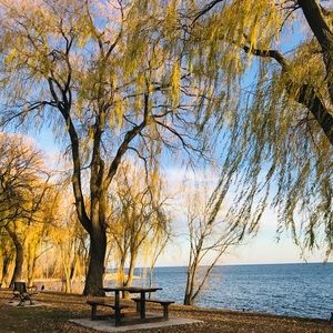 Meet your Posher, Noel